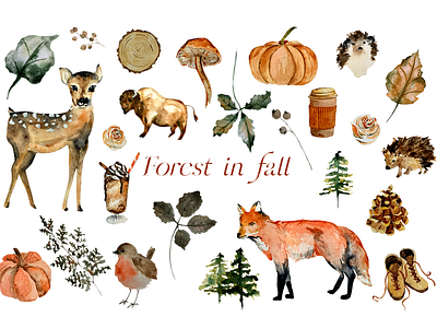 Forest in Fall - Watercolor PNG clipart set