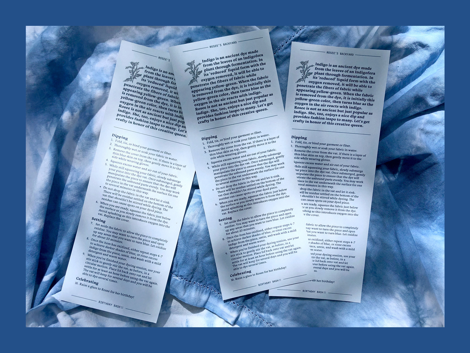 Indigo instructions for a backyard birthday by taylor roy on Dribbble