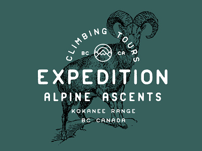 Expedition Alpine Ascents alpine branding british columbia font fonts logo overlay sans serif