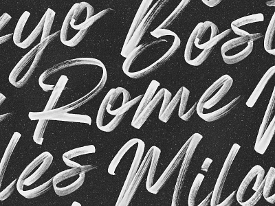 Almonte Brush Font almonte brush font fonts hand lettered hand lettering letters opentype rome script svg typography