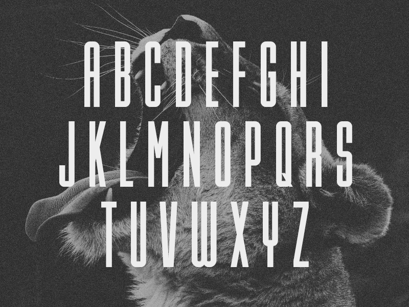 Lion & Hare Font WIP boxy compressed condensed font light tall thin typeface