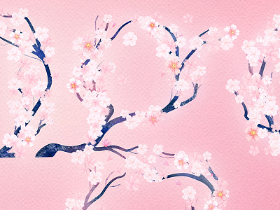 🌸🌸🌸🌸 blossom cherry cherry blossom dc flower japan pink spring tree type typography