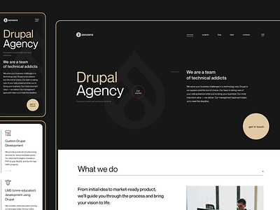 Zanzarra Drupal Agency design digital studio drupal drupal agency graphic design ui ux web web agency web design web studio webdesign