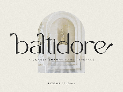 Baltidore - A Classy Luxury Sans Typeface design display font font sans serif typeface