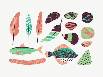 Nature & textures biology feather fish illustration nature patswerk patterns shells stone textures vector