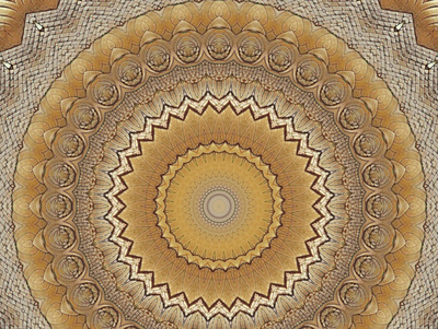 Patterns fractal mandala app branding design illustration
