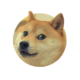 Doge1337