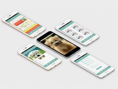 Petapp app design dog flat design graphic design illustration pets webdesign