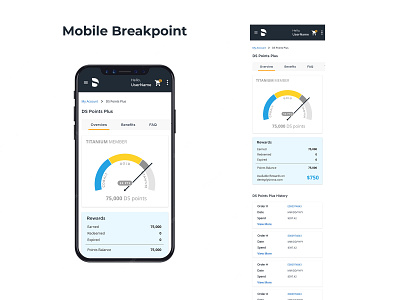 Dashboards for Customer Loyalty Programs by Andrea Zarate on Dribbble