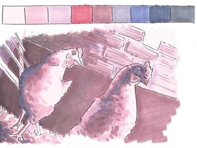 Color study on hens color farm hen hens illustraion markers purple study
