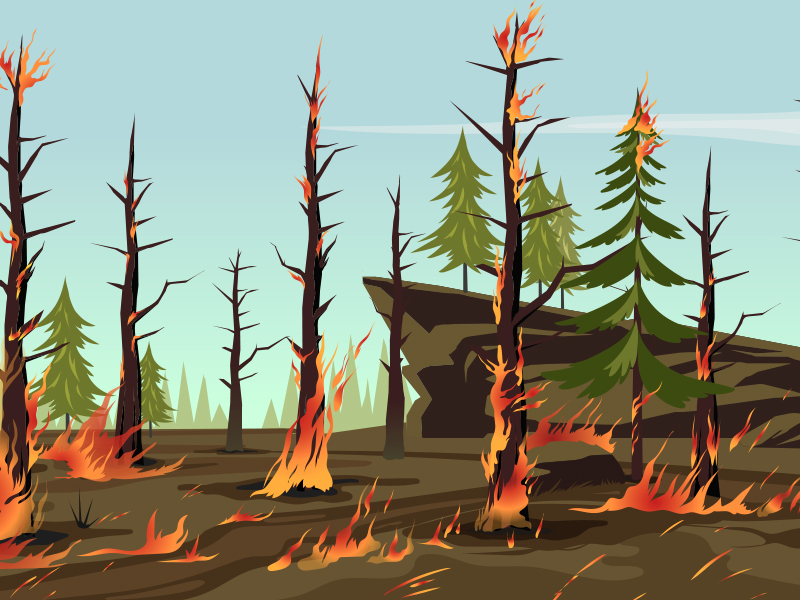 Forest fire by 2d vill on Dribbble