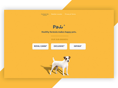 Paw | Landing page dog landing page pet web design yellow