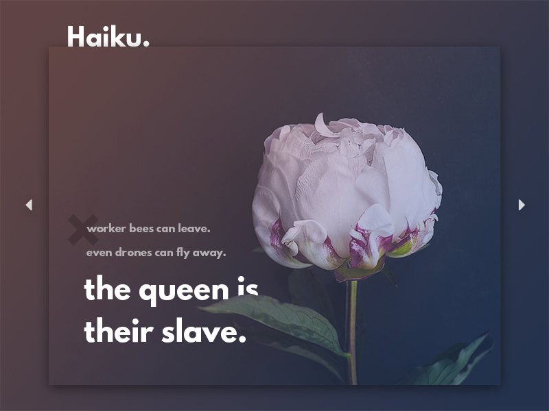 android home screen haiku mikzu animation