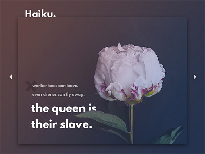 Haiku.