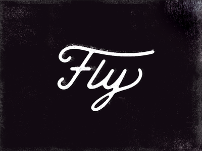 Fly