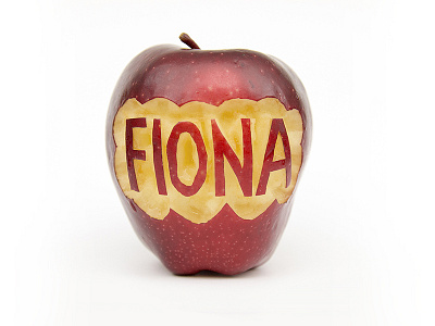 Wordplay fiona apple pun wordplay