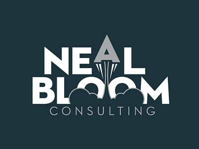 Neal Bloom Consulting Logo endreola design logo logo design logotype rocket