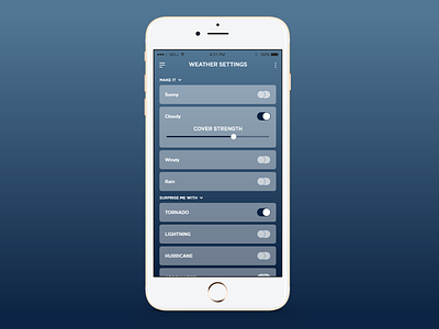 Daily UI -007 Settings Page dailyui007 dailyuichallenge settings settings page