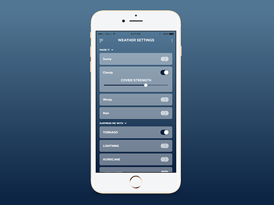 Daily UI -007 Settings Page