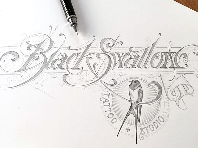 Black Swallow - WIP black hand lettering pencil schmetzer sketch swallow wip