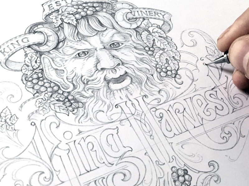 King Harvest wine grapes lettering sketch king harvest schmetzer