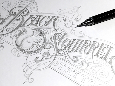 Black Squirrel sketch