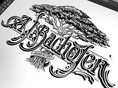 AJB vector hand lettering logotype schmetzer tree typography vector