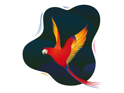 Red Parrot illustration stippling vector
