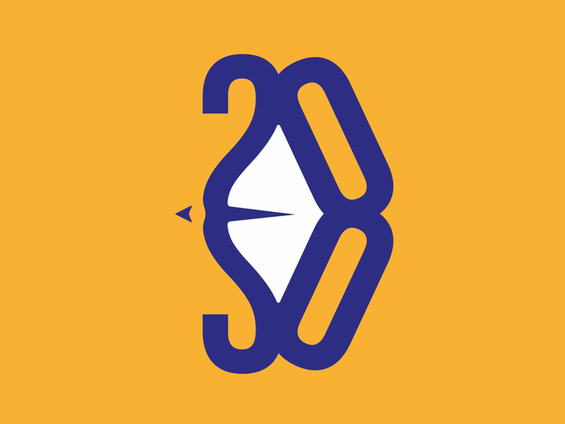 Target For 2020 By Akhter Rasool On Dribbble