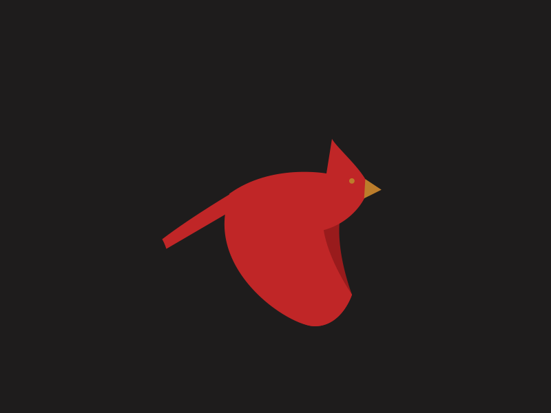 Cardinal flight bird cardinal cycle flight gif