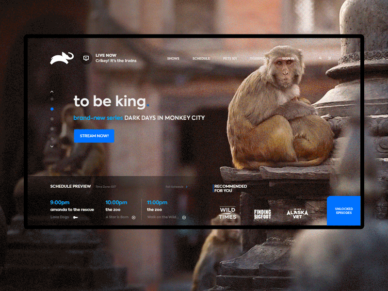 Animal Planet New Brand UI/UX Design animal animation channel clean color concept design homepage landing page stream tv ui ux web zoo