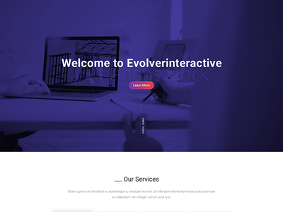 Evolver Interactive