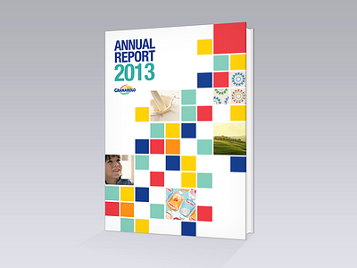 Granarolo | Annual Report 2013