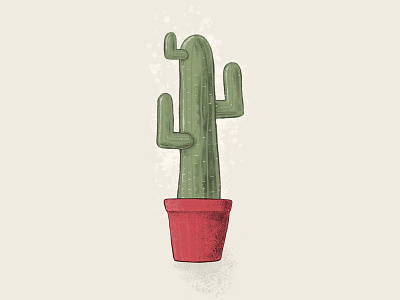 Cactus adobesketch cactus desert