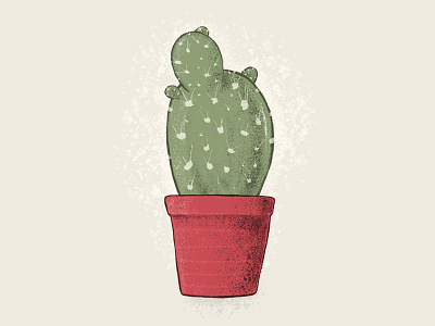Cactus 2 adobesketch cactus desert