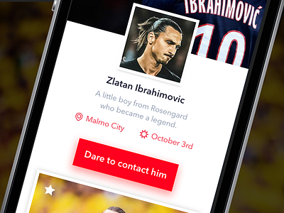 The Zlatan User Profile