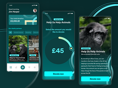 Charity app animal animation app brand character charity design donation foundation green iphone minimal rescue ui