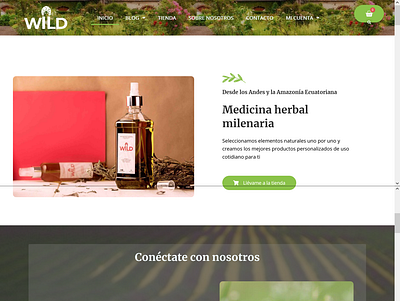 Wild La Yerbatería herbal store & laboratory herbal store website hero image menu natural laboratory website