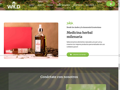 Wild La Yerbatería herbal store & laboratory