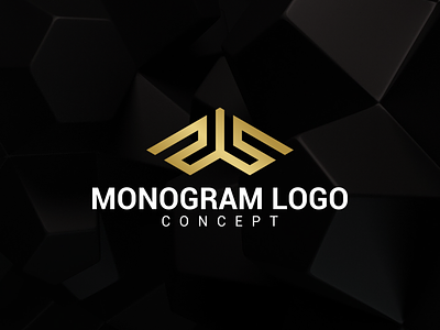 SS LOGO app branding design designer graphic design icon illustration logo ui vector