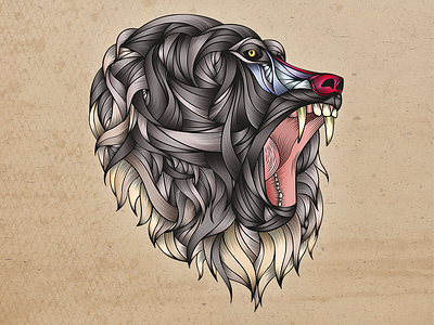 Baboon Illustration