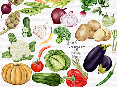 Set Of Digital illustrations of Vegetables