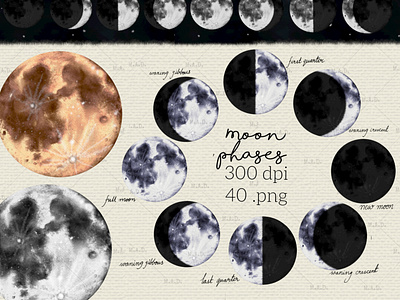 Collection of Digital Illustrations of Moon Phases