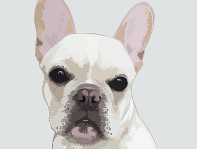 Personalized Pet Portrait design digital drawing drawing graphic design illustration illustrator pet typography vector