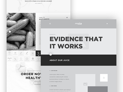 Mod_e Wireframes clean cta icons ingredients nutrition scientific website