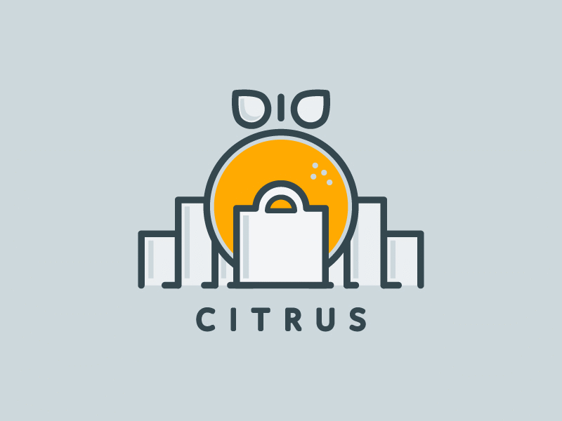 Citrus Logo branding citrus ecommerce logo orange shopping statistics web application