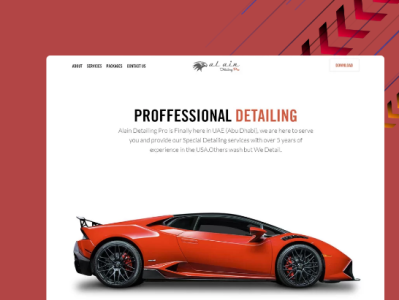 Hey Wanna buy a new car..Here it is. branding carservices design ui