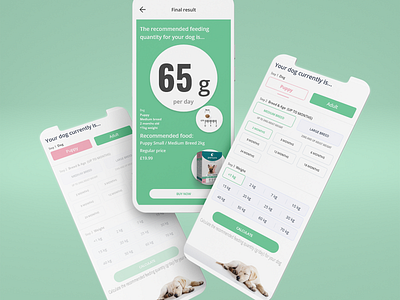 percuro - dog feeding guide app app branding design ui ux