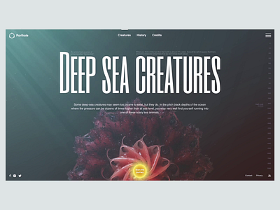 Deep Sea Creatures 3d after effects animation c4d design encyclopedia graphic interactive journal landing learning nature sea ui underwater ux web design