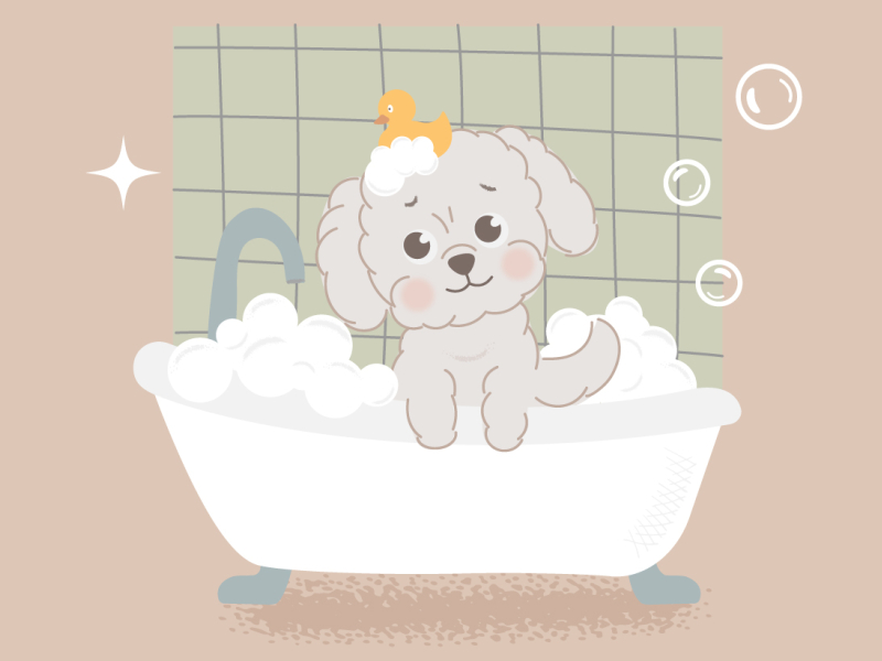 Dog bath by Marireki on Dribbble